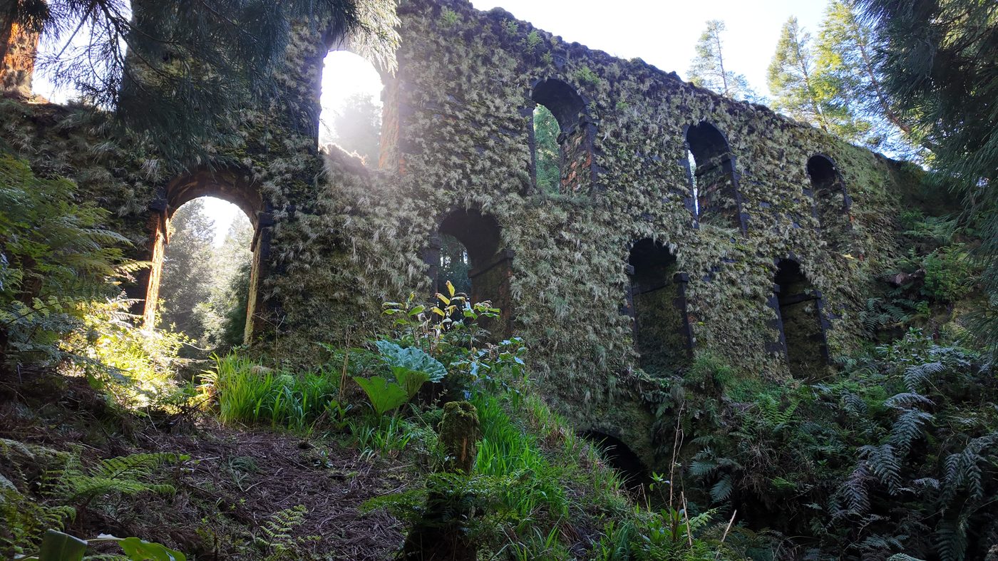 A moss-covered aqueduct hidden in the forests of São Miguel